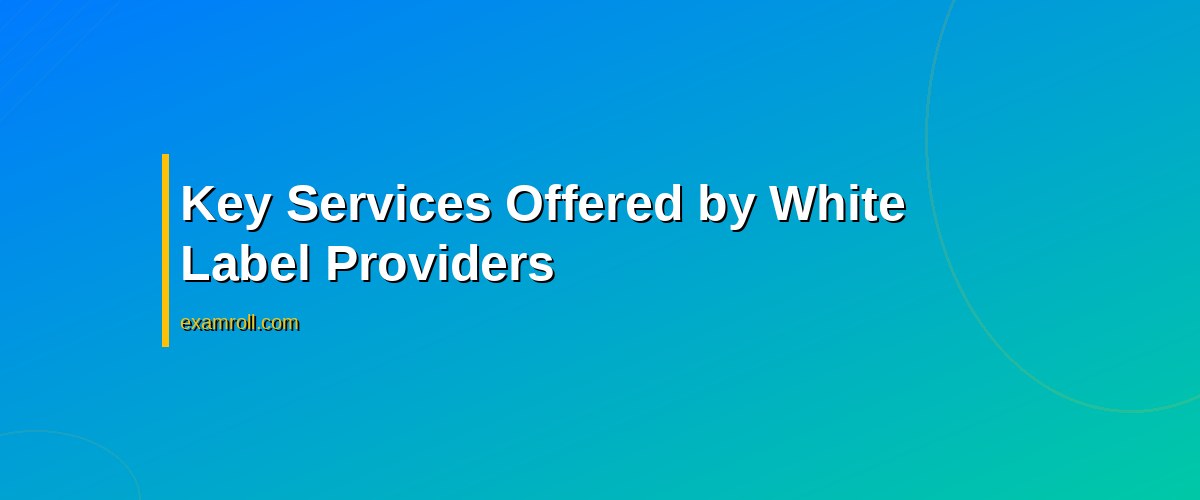 Top White Label Digital Marketing Services for Your Business Growth – Key Services Offered by White Label Providers